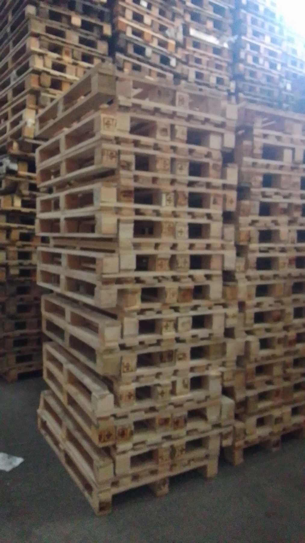 Полегшені європіддони 1200x800 мм