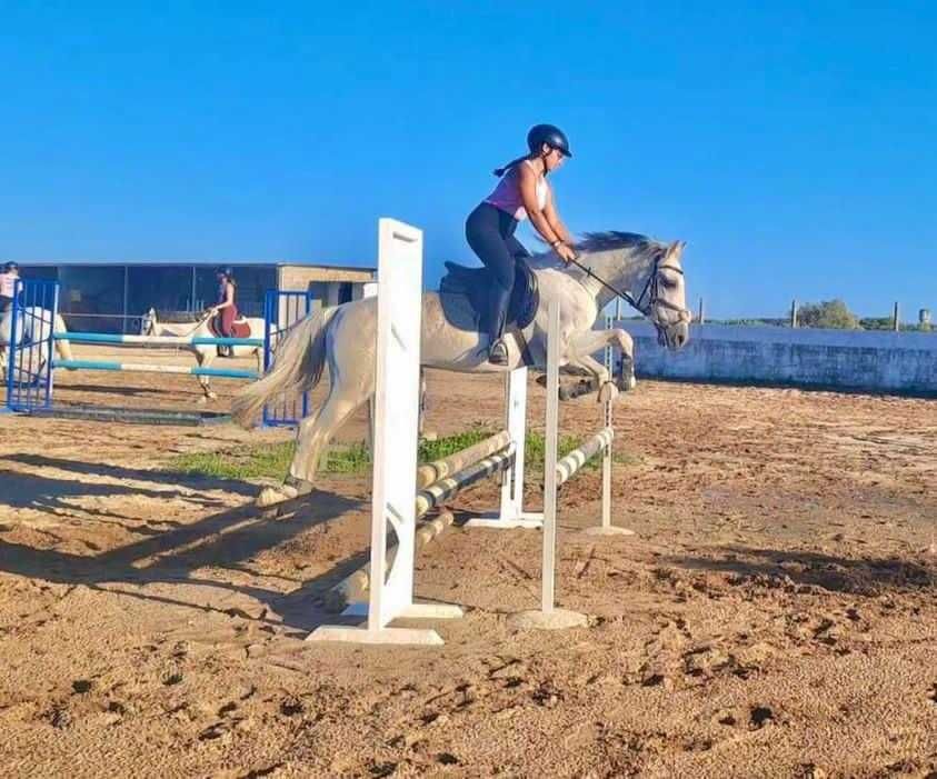 Vendo cavalo PSL com Livro Azul
