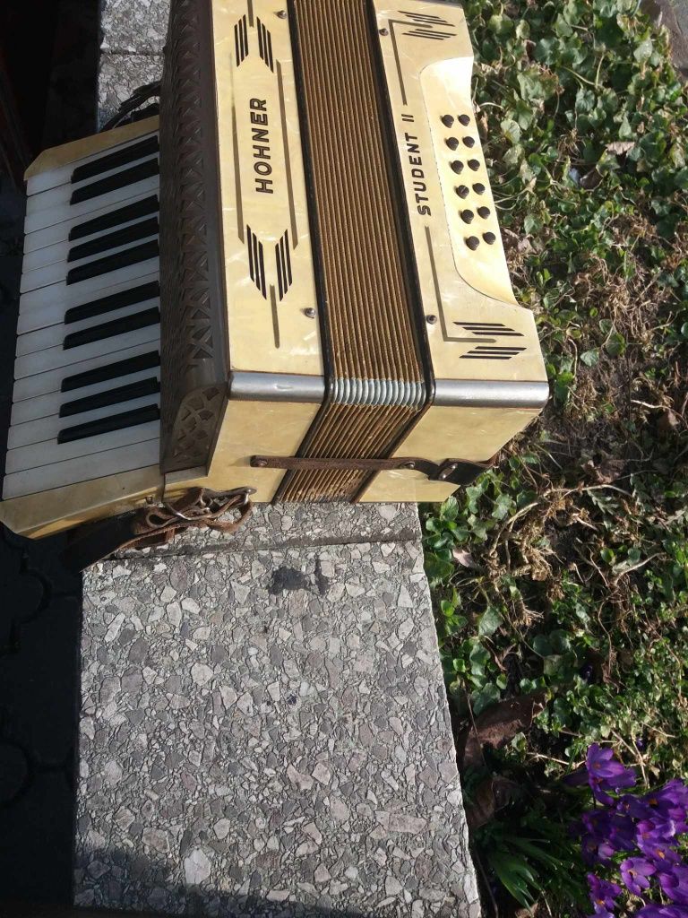 Hohner student 12 basow akordeon harmoszka