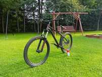Dartmoor sparrow (dirt,enduro,dh)