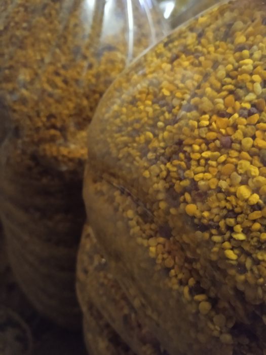 Бджолиний пилок з власної пасіки