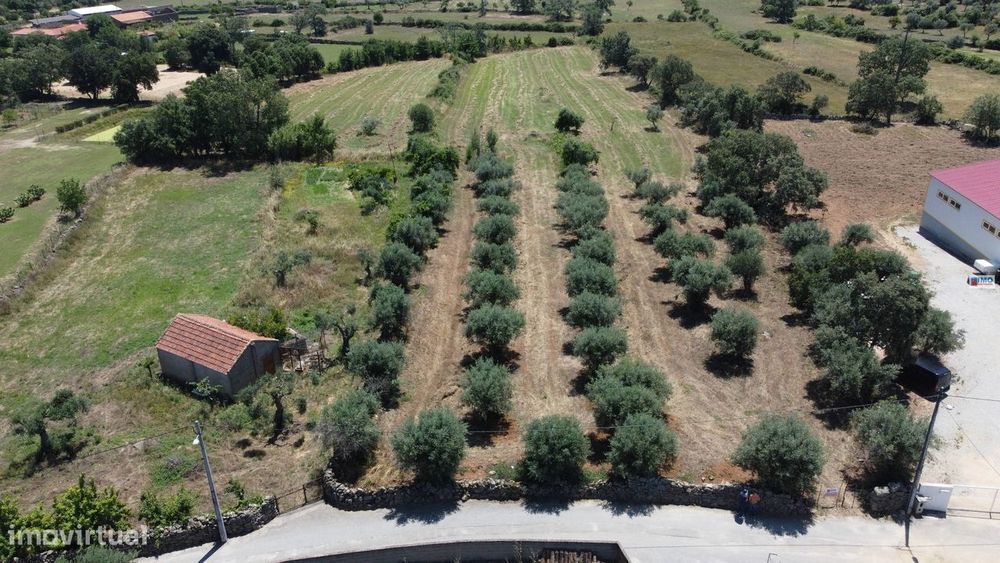Quinta - Oledo