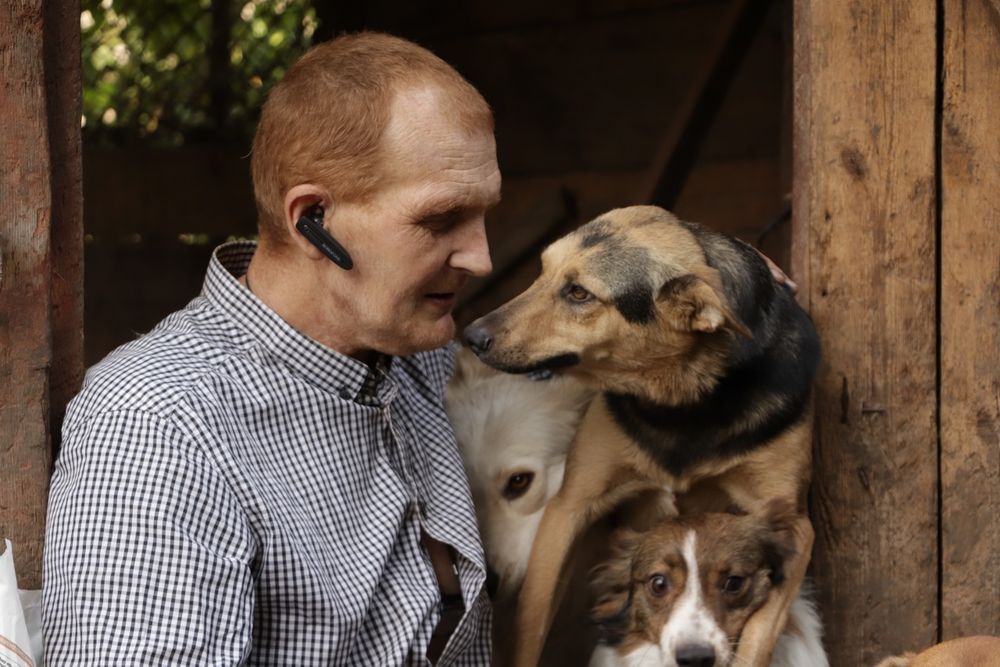 Віддам у Добрі руки