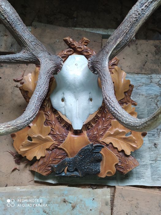 Роги оленя з різьбленою дошкою