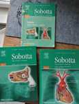 SOBOTTA Atlas anatomii człowieka tom1, tom2 i mięśnie stawy i nerwy