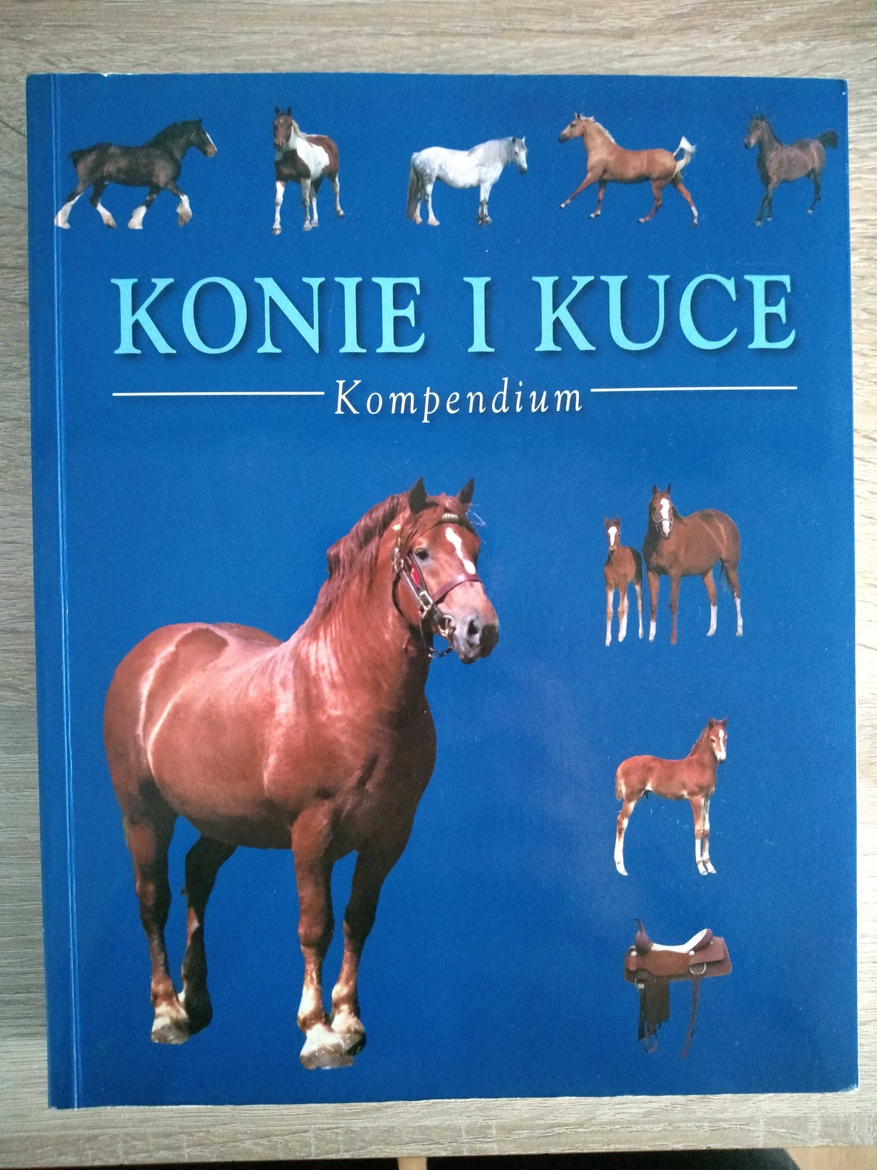 Konie i kuce. Kompendium - T.Pickeral + figurka konia