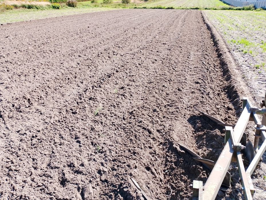 Pług 3 skibowy Eberhard