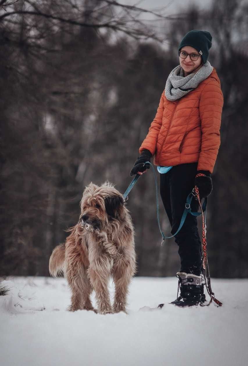 Hogan - kosmate cudo wypatruje kochającego domu!