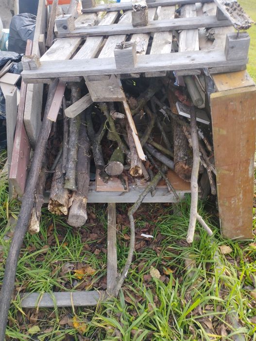 Drewno  na opał za darmo