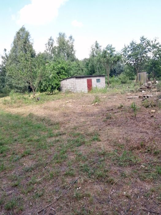 Sprzątanie działek opróżnianie piwnic działek mieszkań Rozbiórka