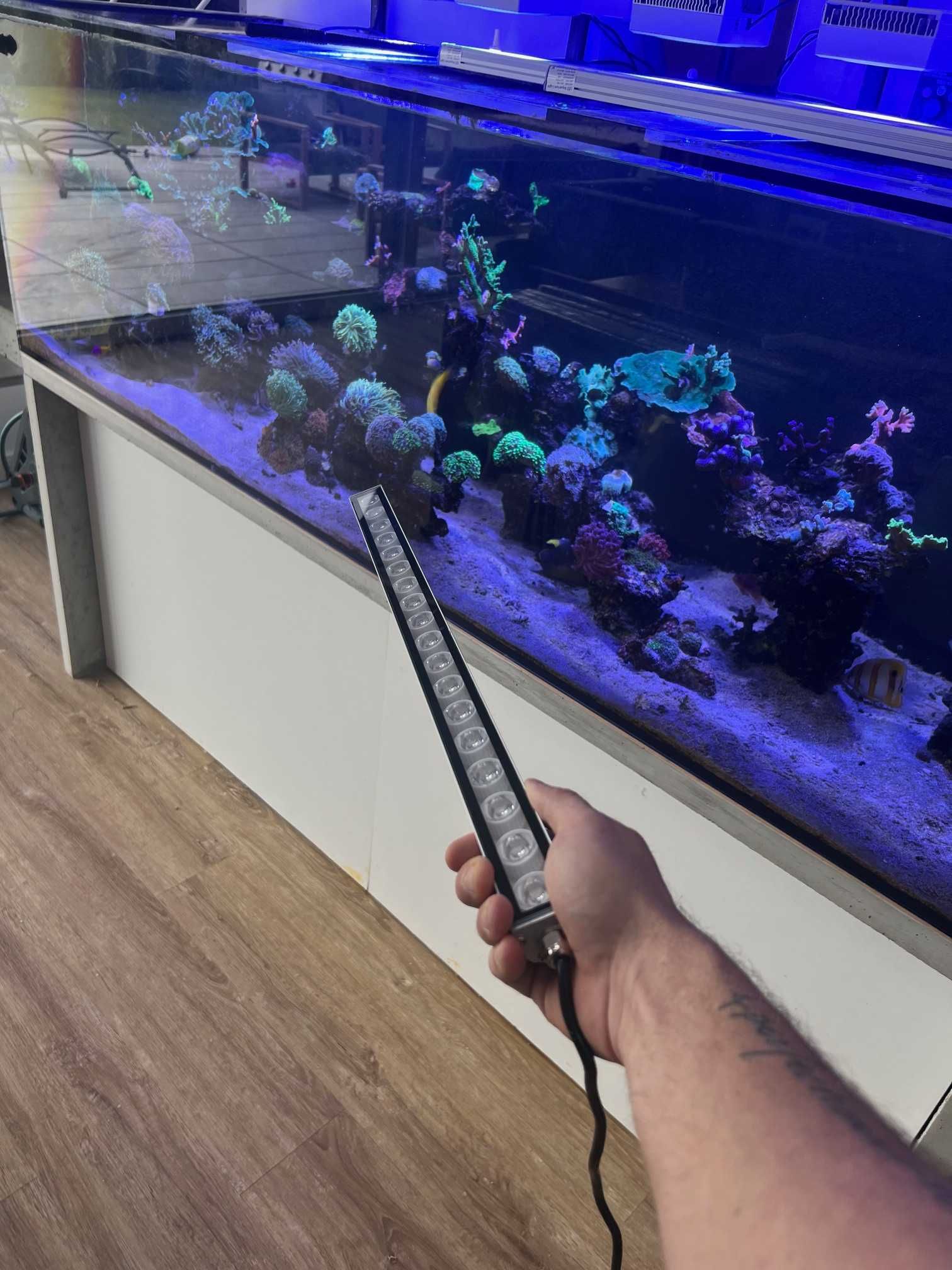 Led Bar do Akwarium Morskiego Belka UV Blue + Ściemniacz i Timer 55cm