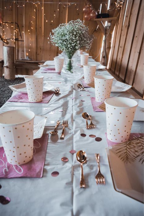 Wieczór Panieński impreza góry jacuzzi sauna balia grill boisko SPA