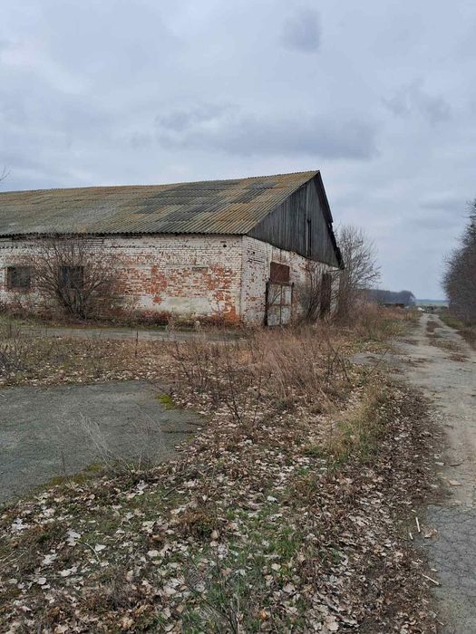 Продаж приміщення (ферми).