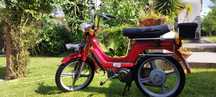 VESPINO Vale Especial1 - URGENTE
