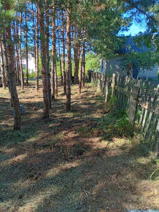 Продається земельна ділянка 12 соток поряд ліс