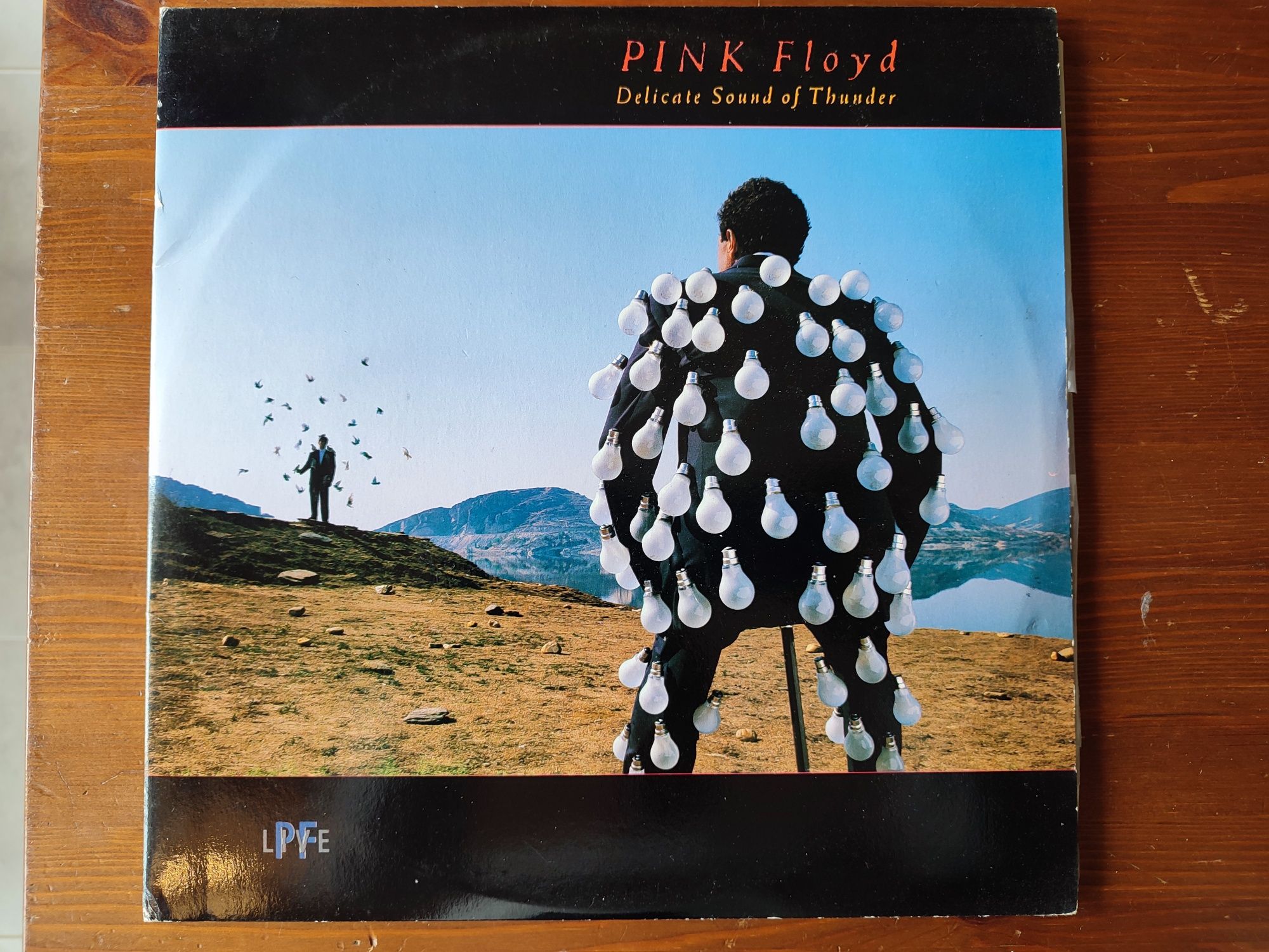 Pink Floyd Live - Delicate Sound of Thunder Álbum Vinil Duplo anos 80