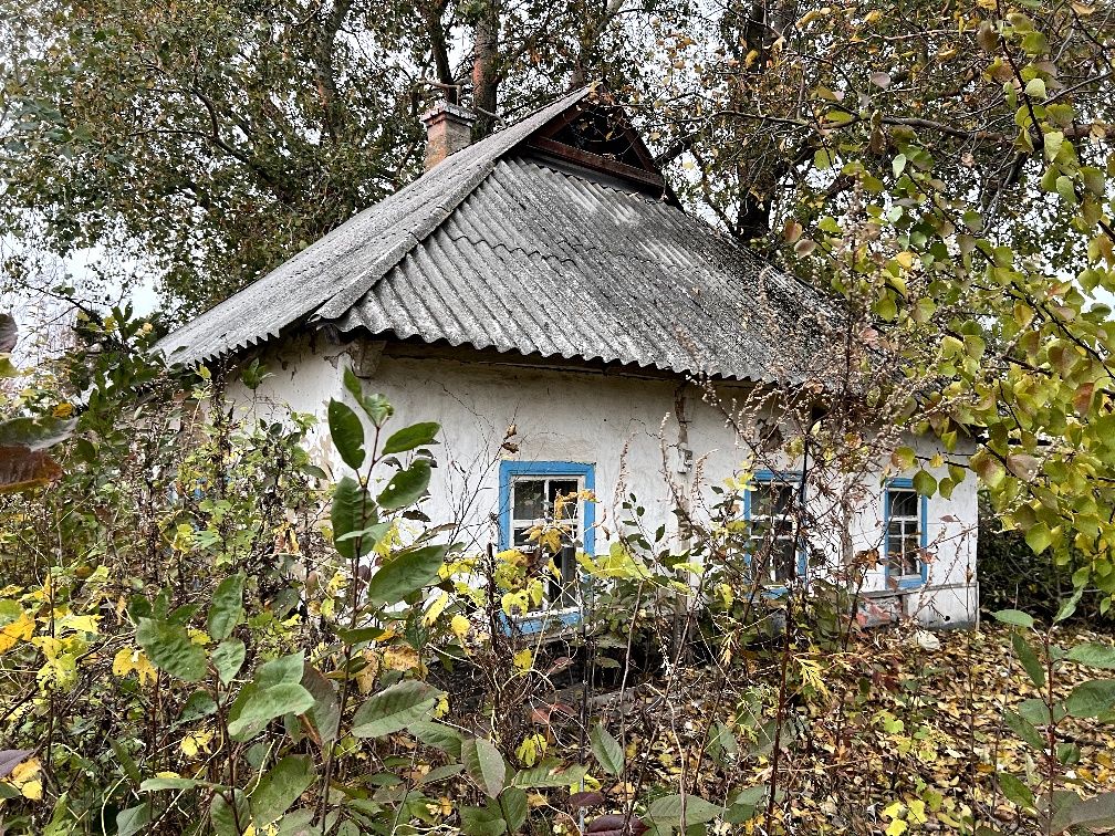 Земельный участок в селе Новая Басань Черниговской области