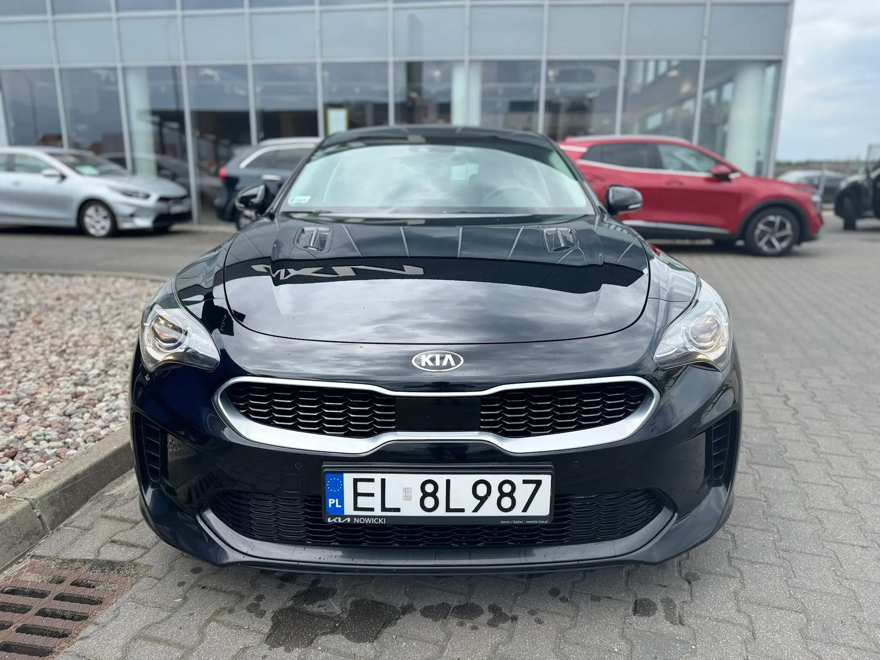 Kia Stinger Salon PL , 1 wł. , SERWISOWANY , Zadbany