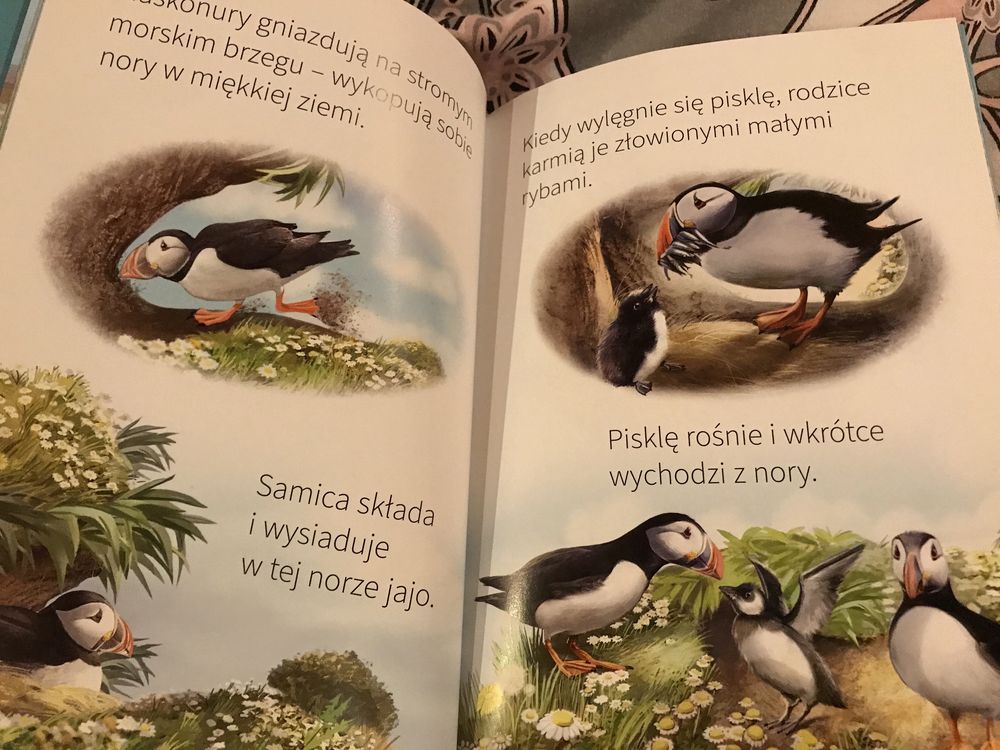 Wybrzeże Młodzi Przyrodnicy