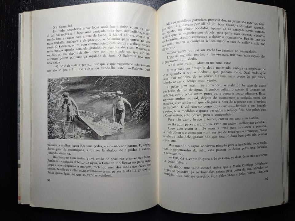 Alves Redol - Constantino, guardador de vacas e de sonhos (1ª edição)