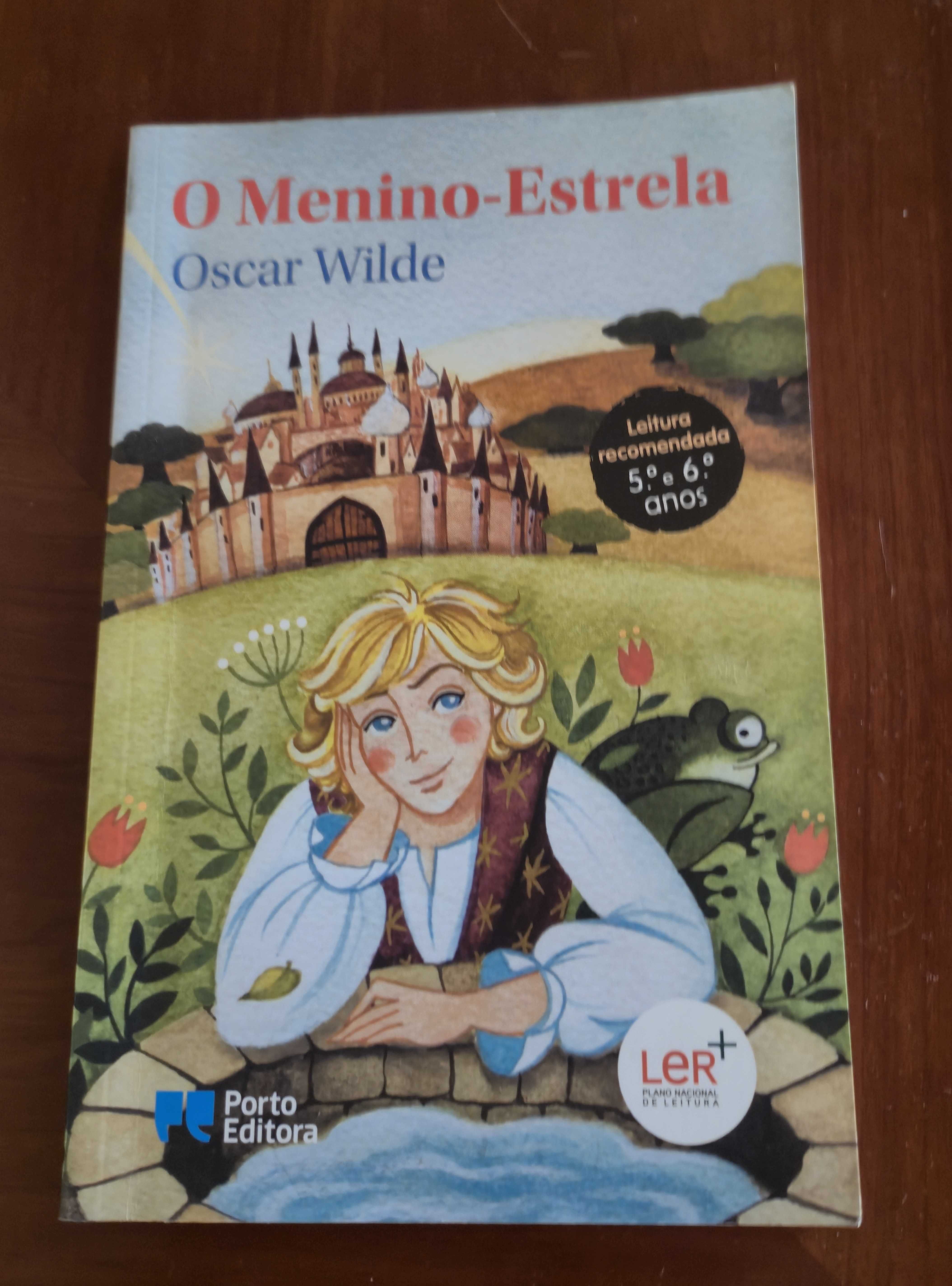 Livro "O menino estrela"-Leitura recomendada 5°/6° anos