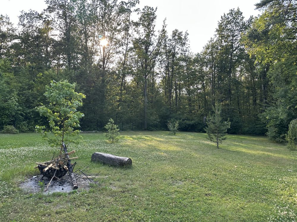 Działka budowlana z mediami przy lesie, 2369m2, Justynów