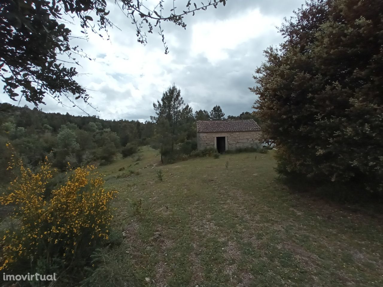 Propriedade em Aldeia do Bispo