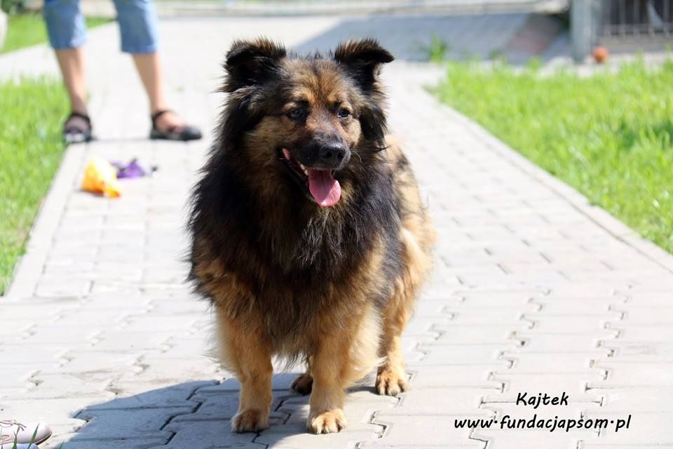Kajtek - puchaty przyjaciel