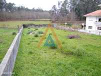 Terreno murado