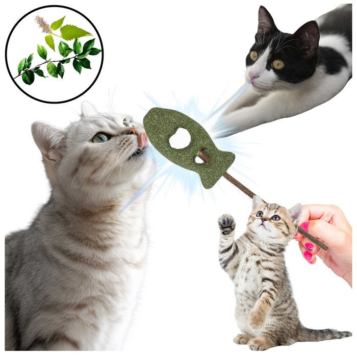 Rybka Matatabi dla Kota - Naturalna Zabawka Czyszcząca Kamień Nazębny