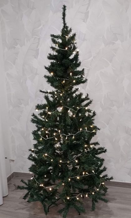 Árvore de Natal verde