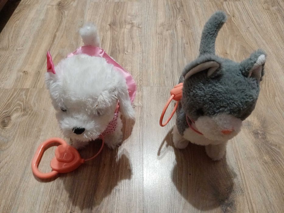 Piesek i kotek jako maskotki