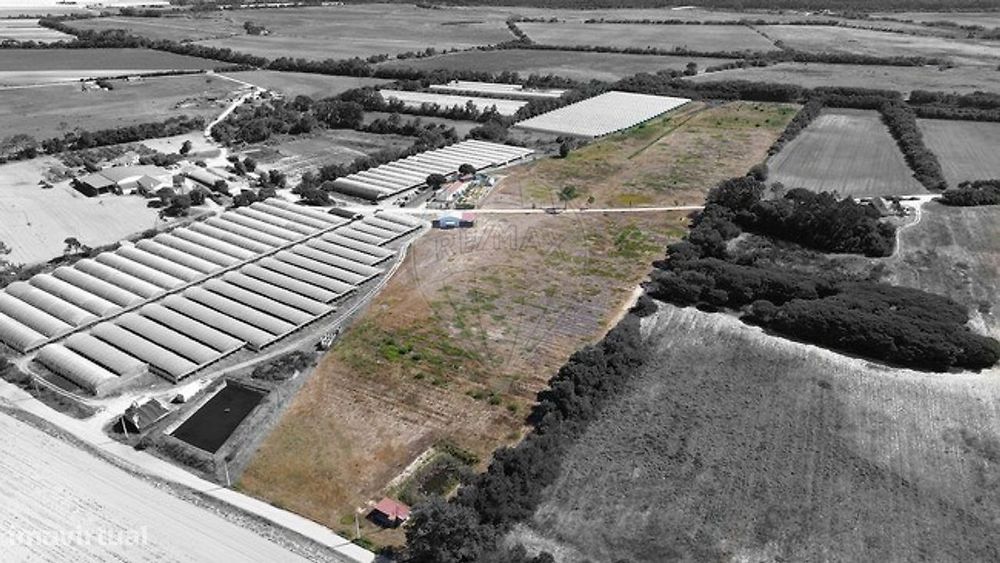 Quinta T3 para venda