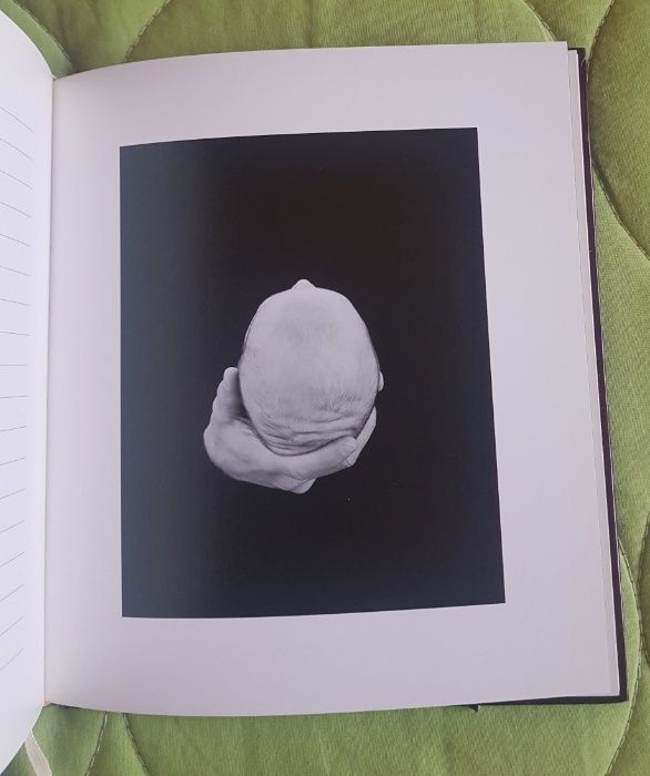 Agenda Anne Guedes - ano 2000 - nova