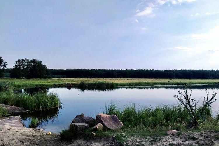 Купуйте хату, будинок у селі Чорногородка Фастівського району!