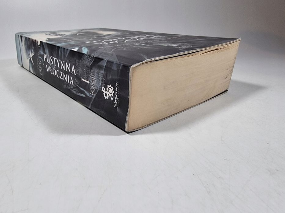 Pustynna Włócznia Księga I / Cykl Demoniczny / Peter V. Brett