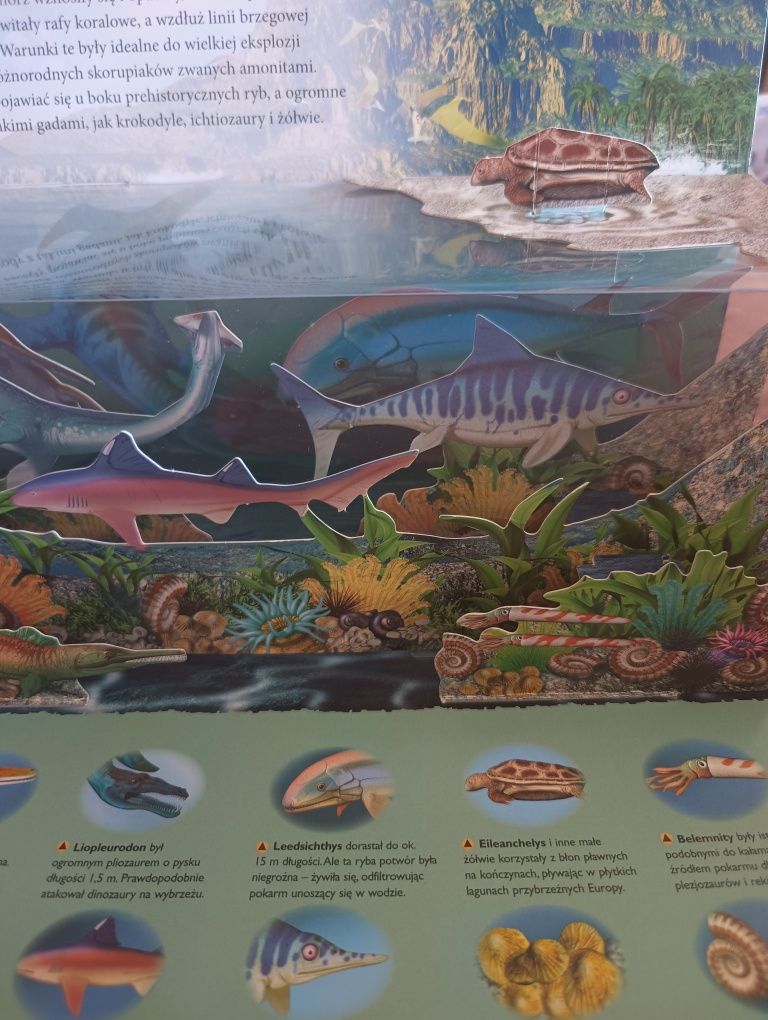 Odkrywca 3 D Dinozaury