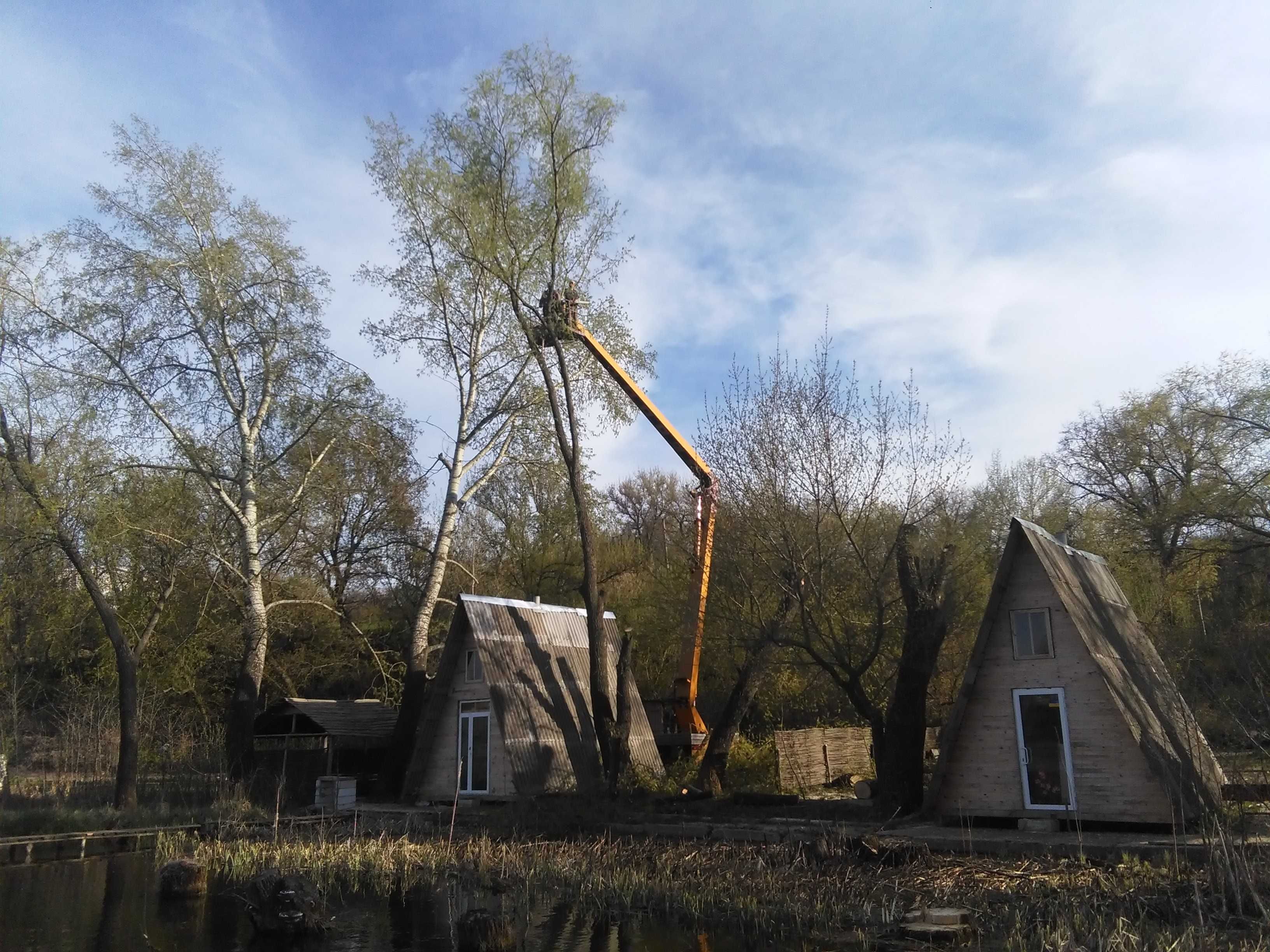 Спилить дерево, ветки