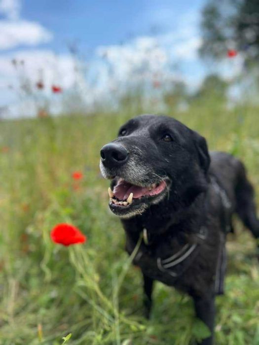 Smutny Tajfun jest pomijany niesłusznie