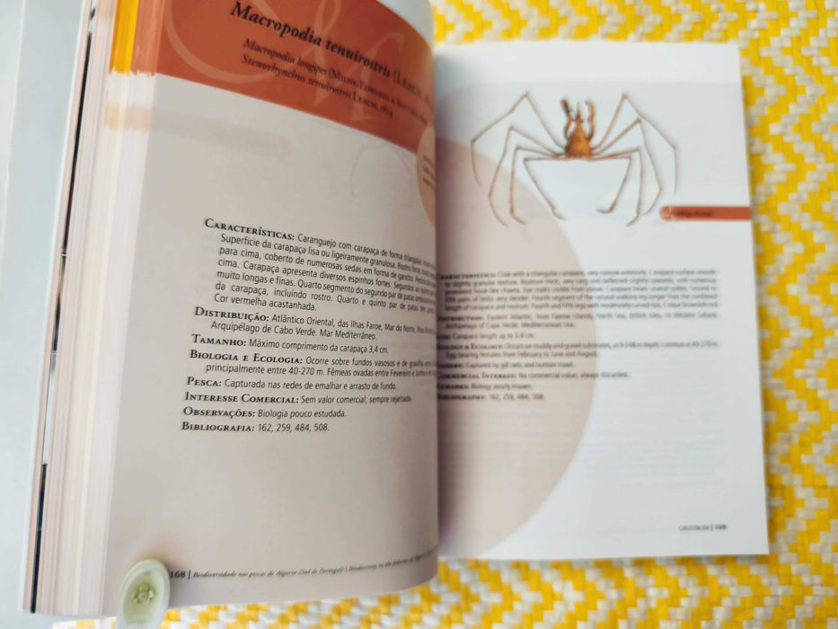 Biodiversidade nas pescas do Algarve – 
Coord. Teresa Silveira Borges