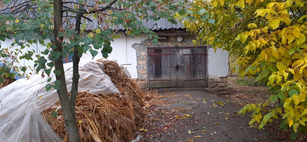 Продається будинок в центрі села Синицівка