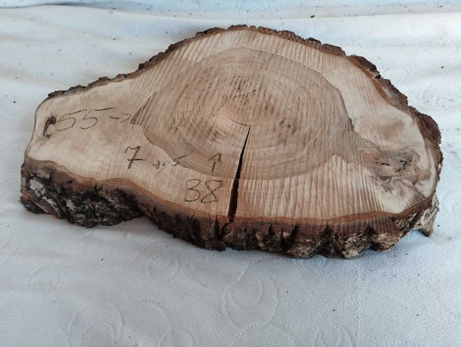 Plaster drewna Piękny Solidny Suchy Orzech DIY Wybór sztuki Hit 2025