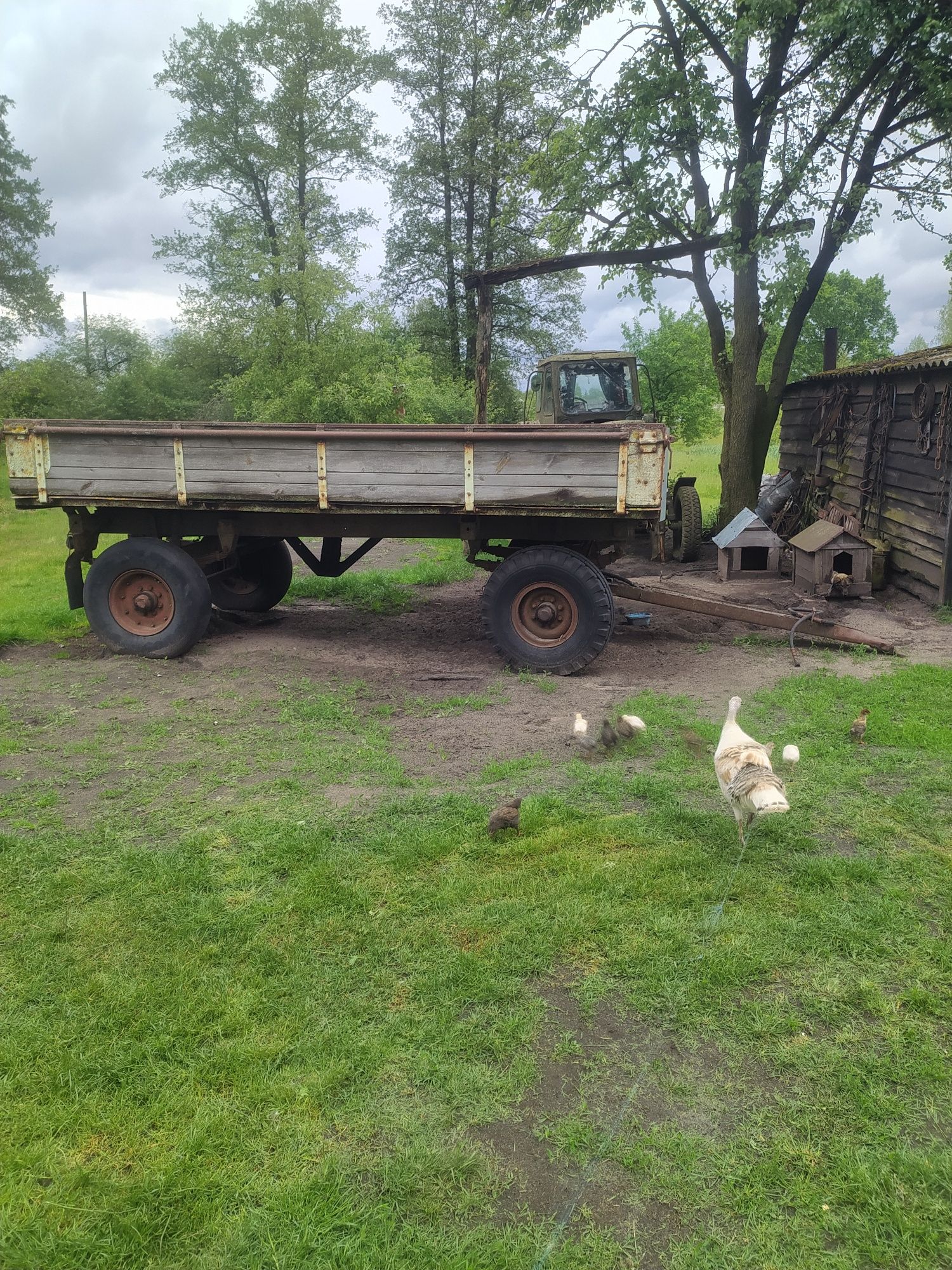 Трактор         юмз
