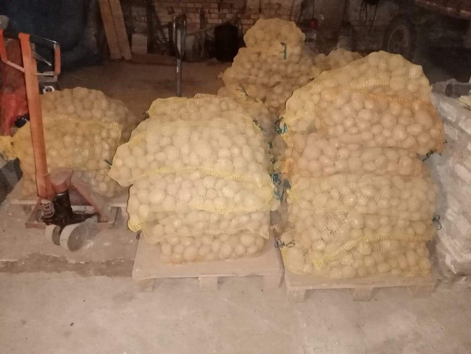 Ziemniaki drobne odpadowe dla kur