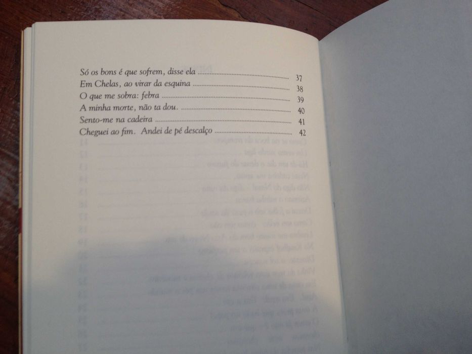 Pedro Tamen - Memória indescritível