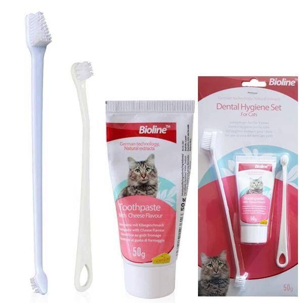Зубная Паста + щётки для котов