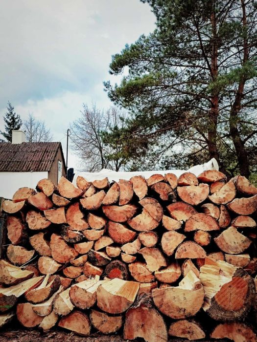 Drewno opałowe dąb brzoza