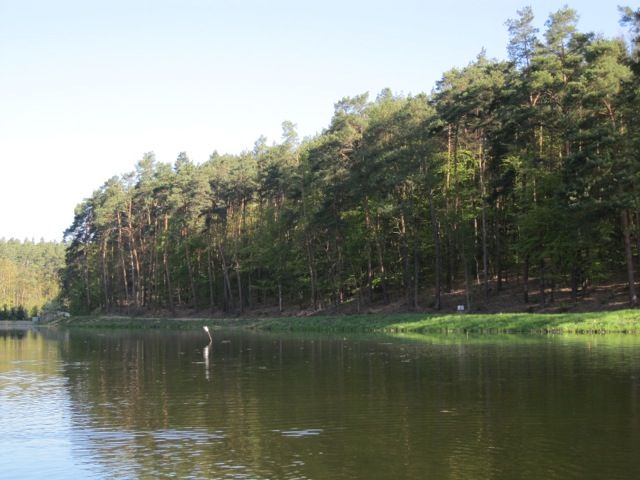 Działka w lesie nad wodą z linią brzegową, rzeka