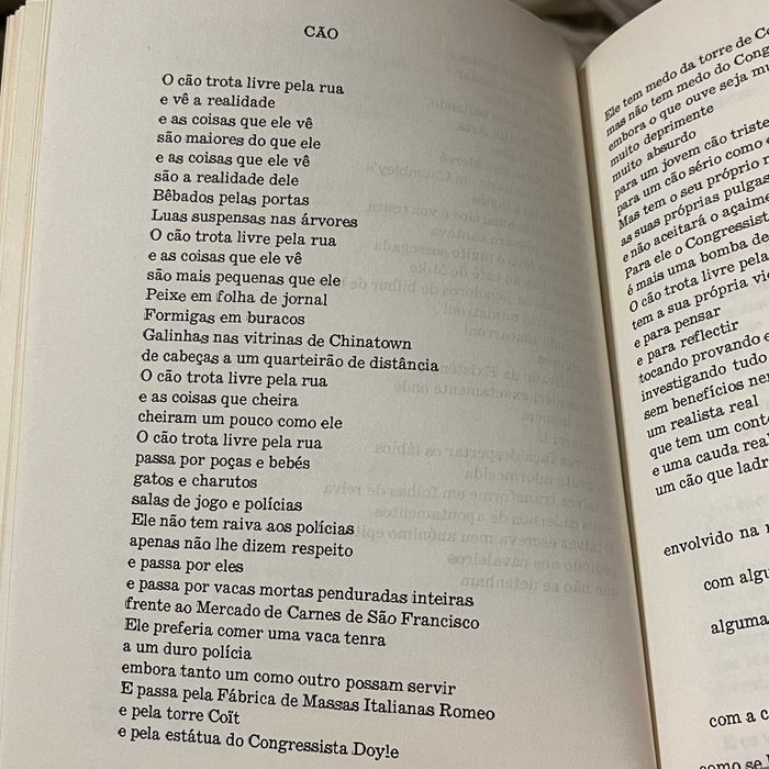 Lawrence Ferlinghetti - A Boca da Verdade (envio grátis)