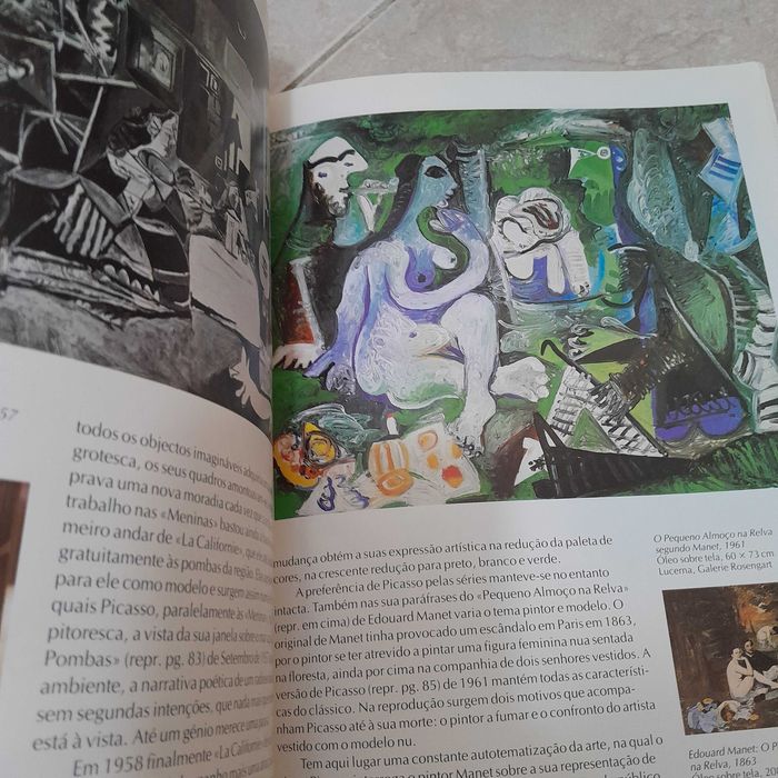 Pablo Picasso - O Génio do Século